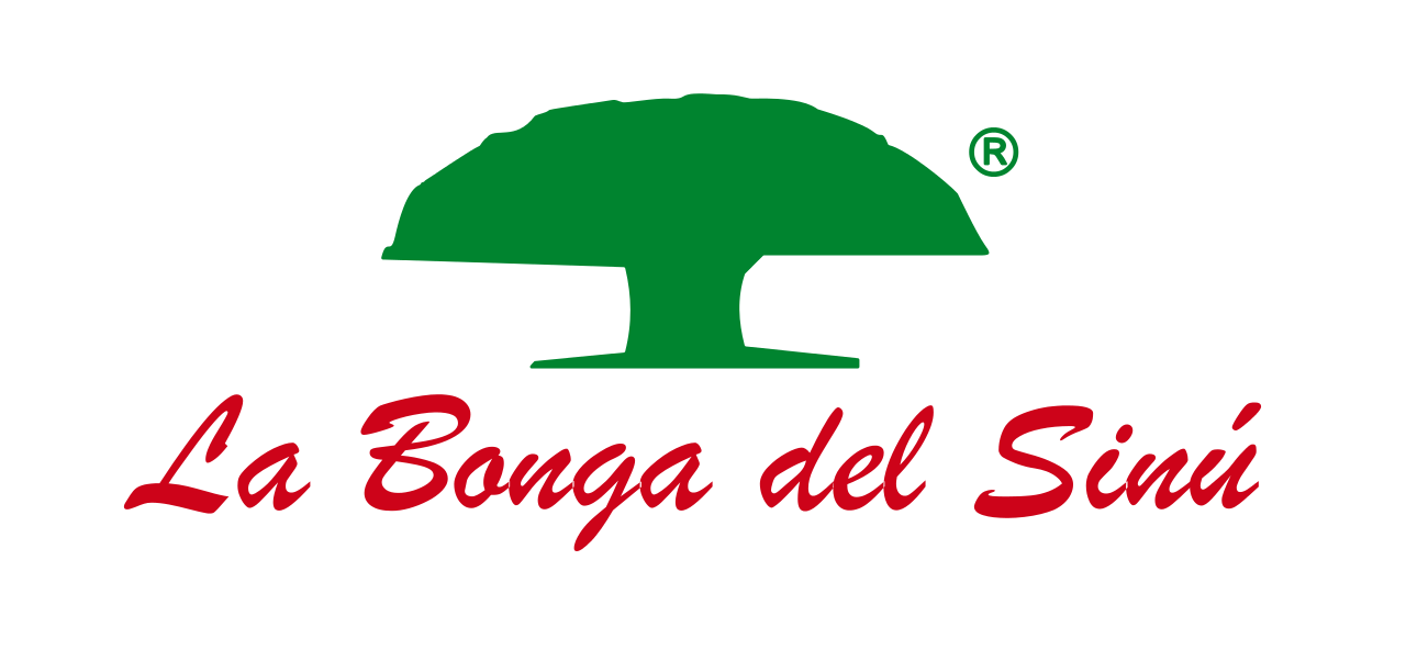 Bonga логотип. Бонга Камп. Bonga logo. Bonga camp